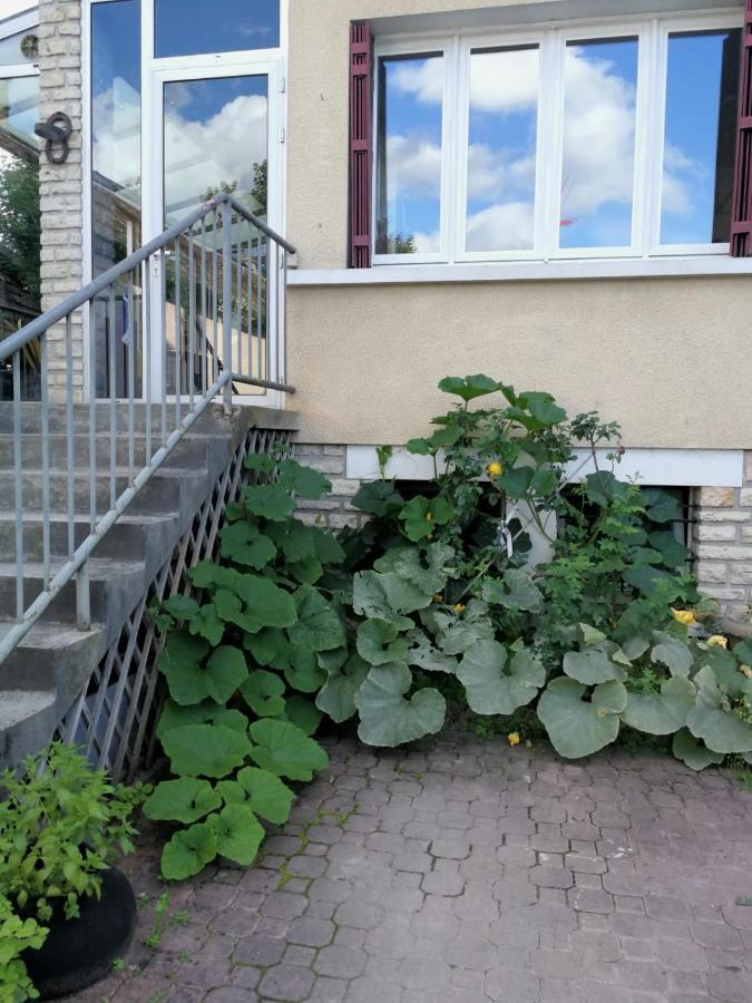 Un Verger dans la Ville Saint-Parres-aux-Tertres Extérieur photo