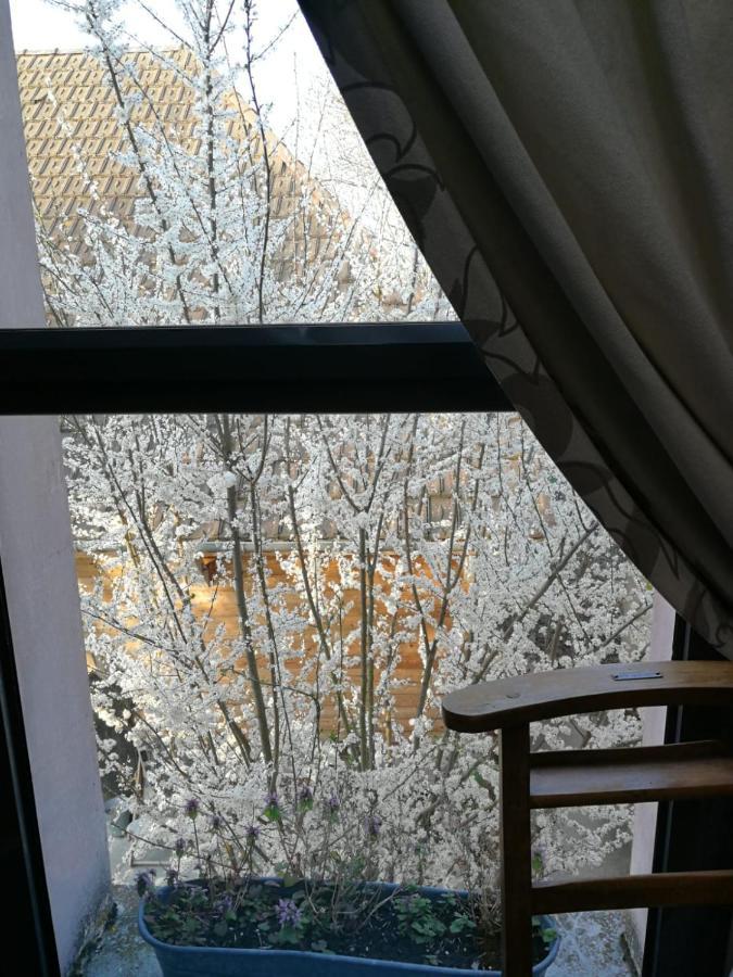 Un Verger dans la Ville Saint-Parres-aux-Tertres Extérieur photo